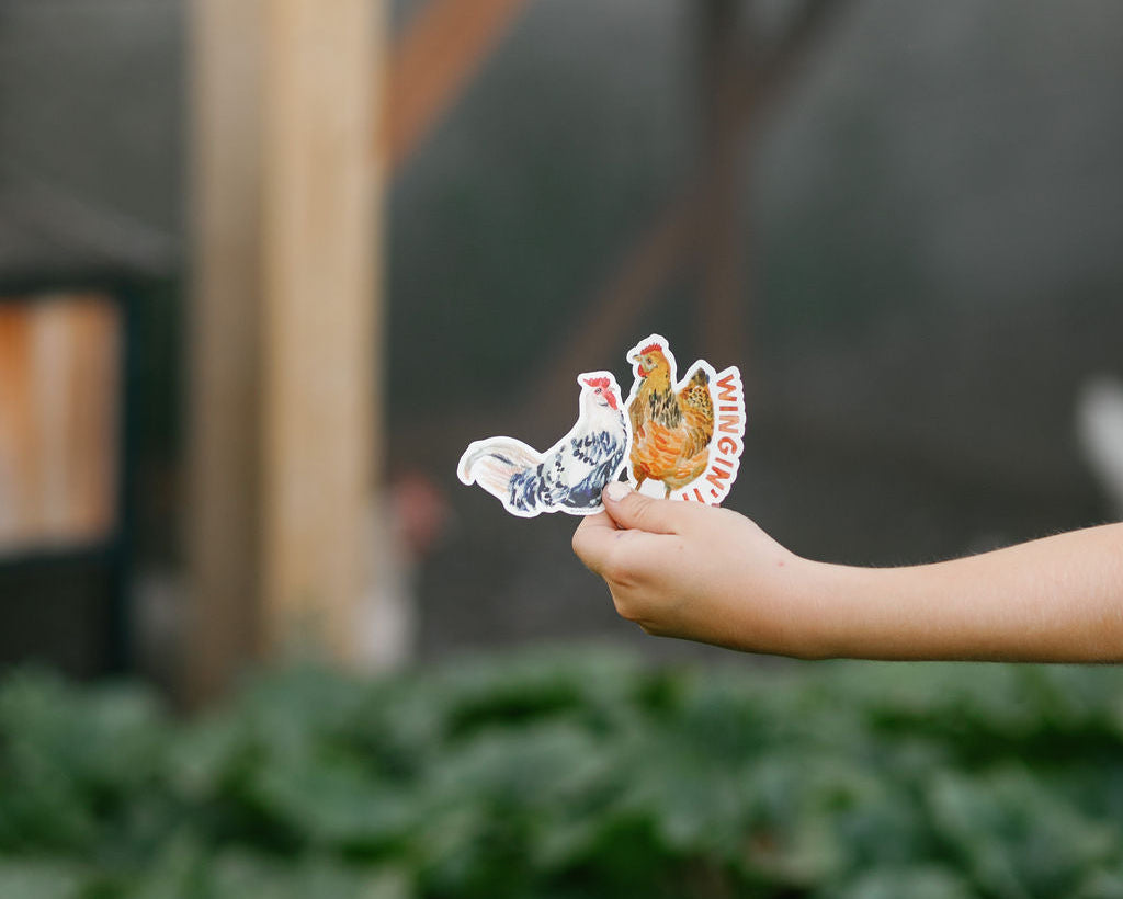 Wingin' It Chicken Sticker