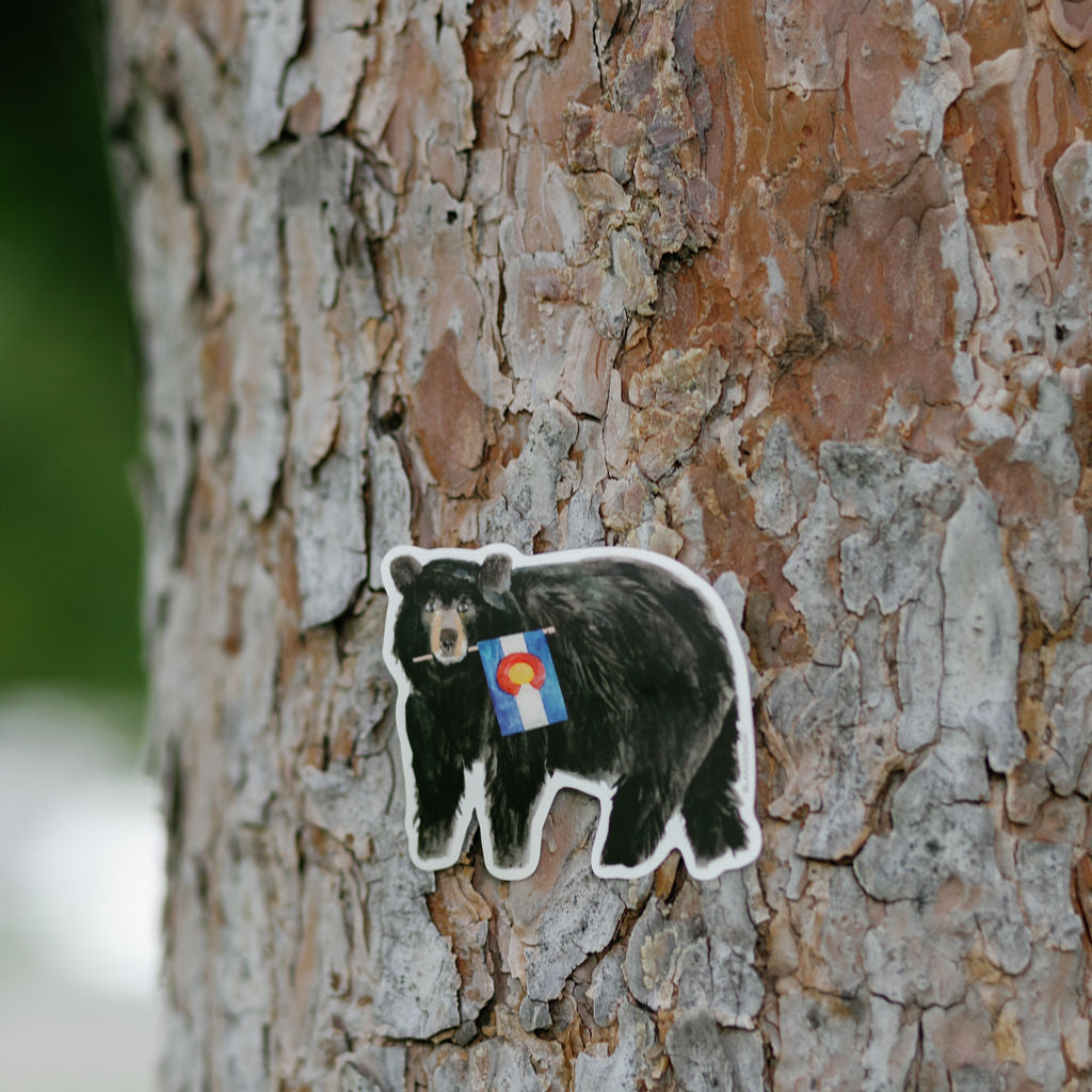 Colorado Bear Sticker