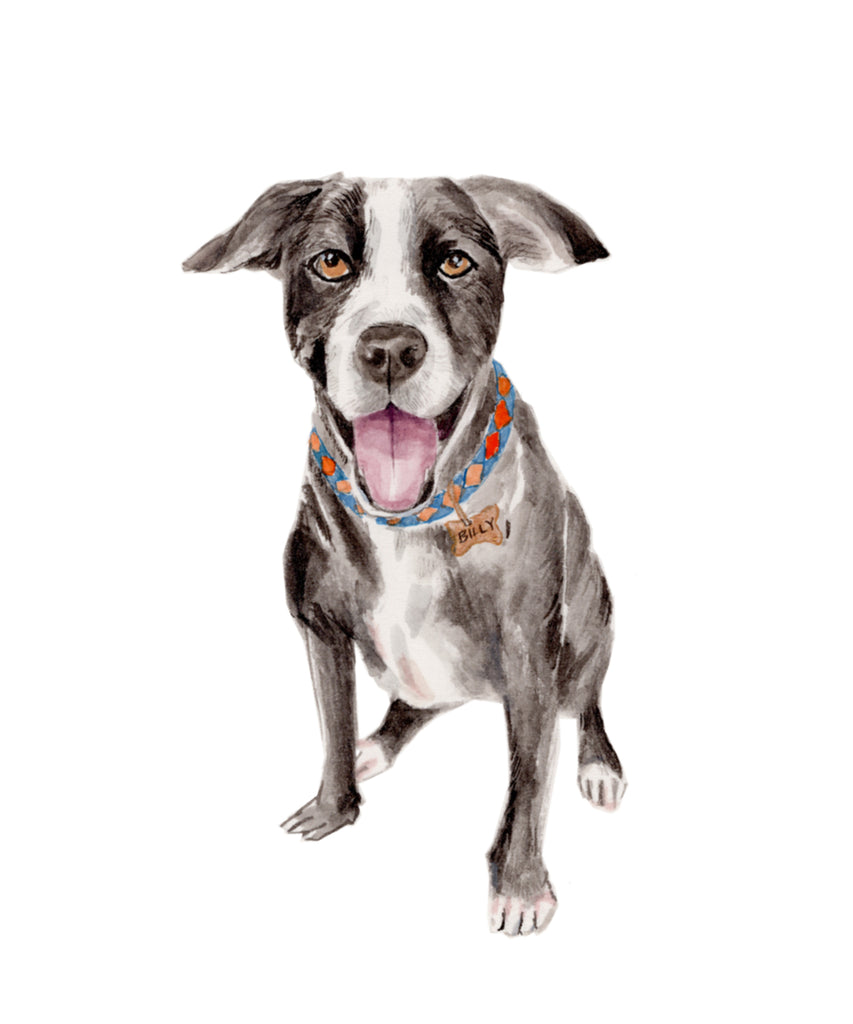 Pet Portrait Custom Painting