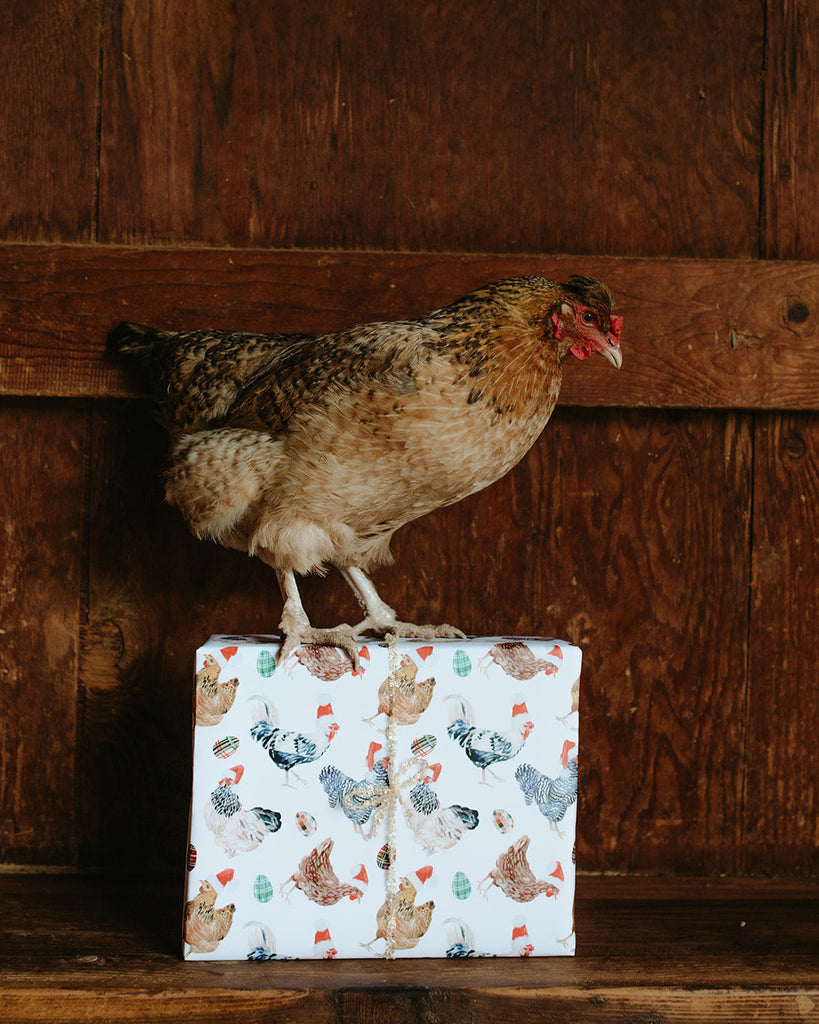 Christmas Chickens in Santa Hats Gift Wrap