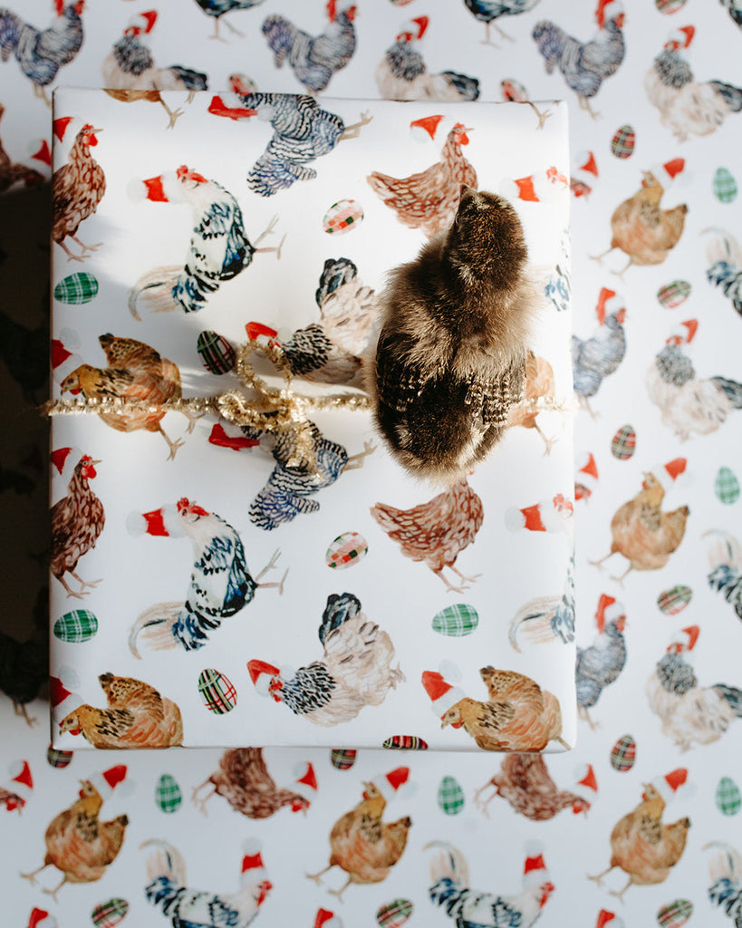 Christmas Chickens in Santa Hats Gift Wrap