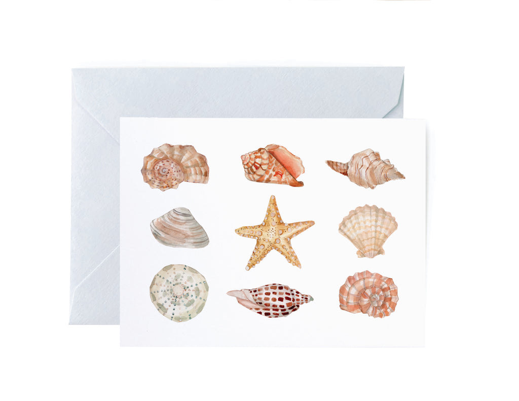 Sea Shell Greeting Card