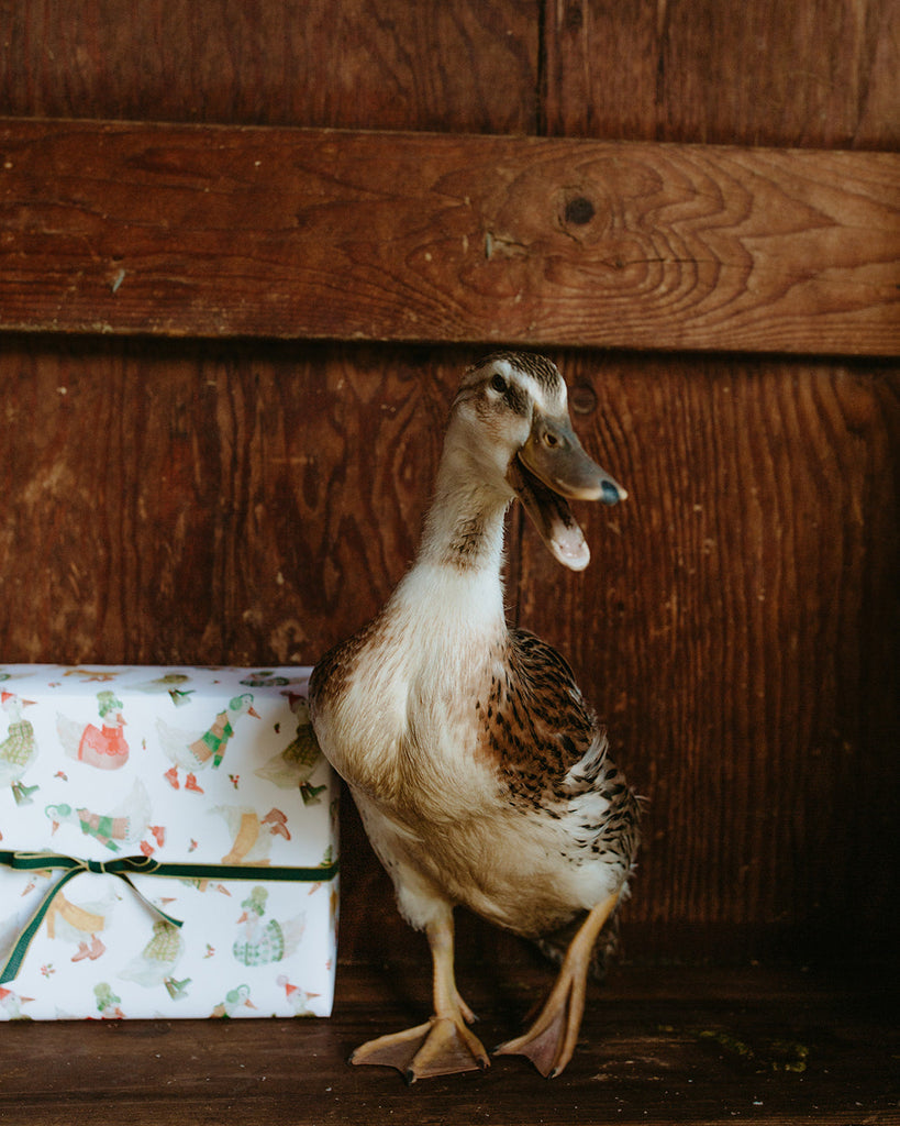 Holiday Geese Gift Wrap