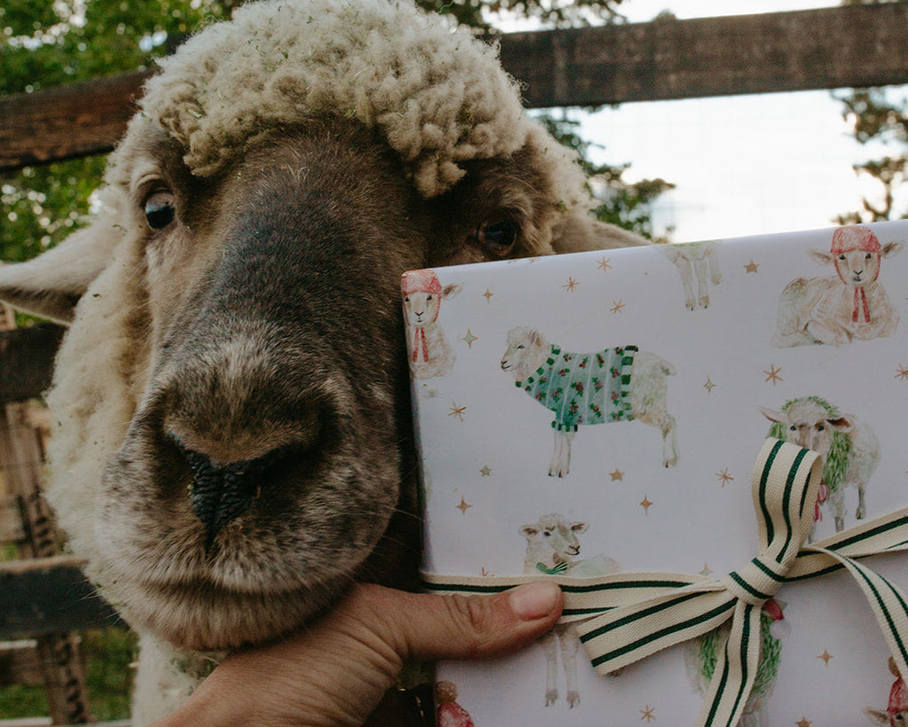 Holiday Sheep Gift Wrap