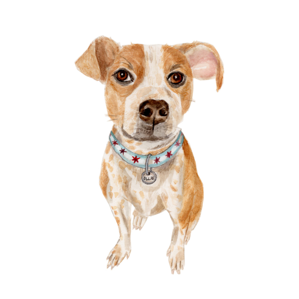 Pet Portrait Custom Painting