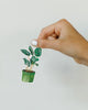 Plant Sticker