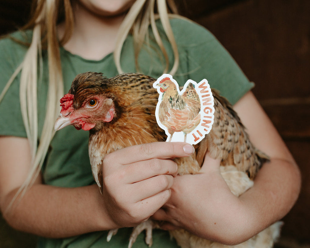 Wingin' It Chicken Sticker