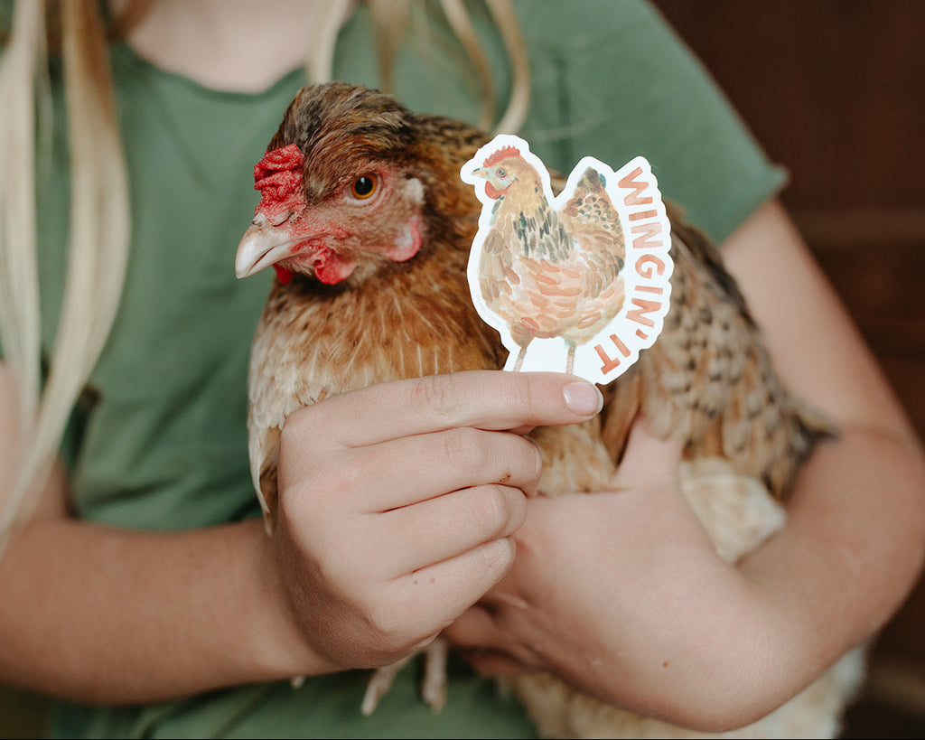 Wingin' It Chicken Sticker
