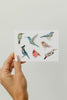 Birds Greeting Card