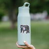 Colorado Bear Sticker