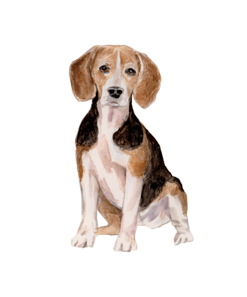 Pet Portrait Custom Painting