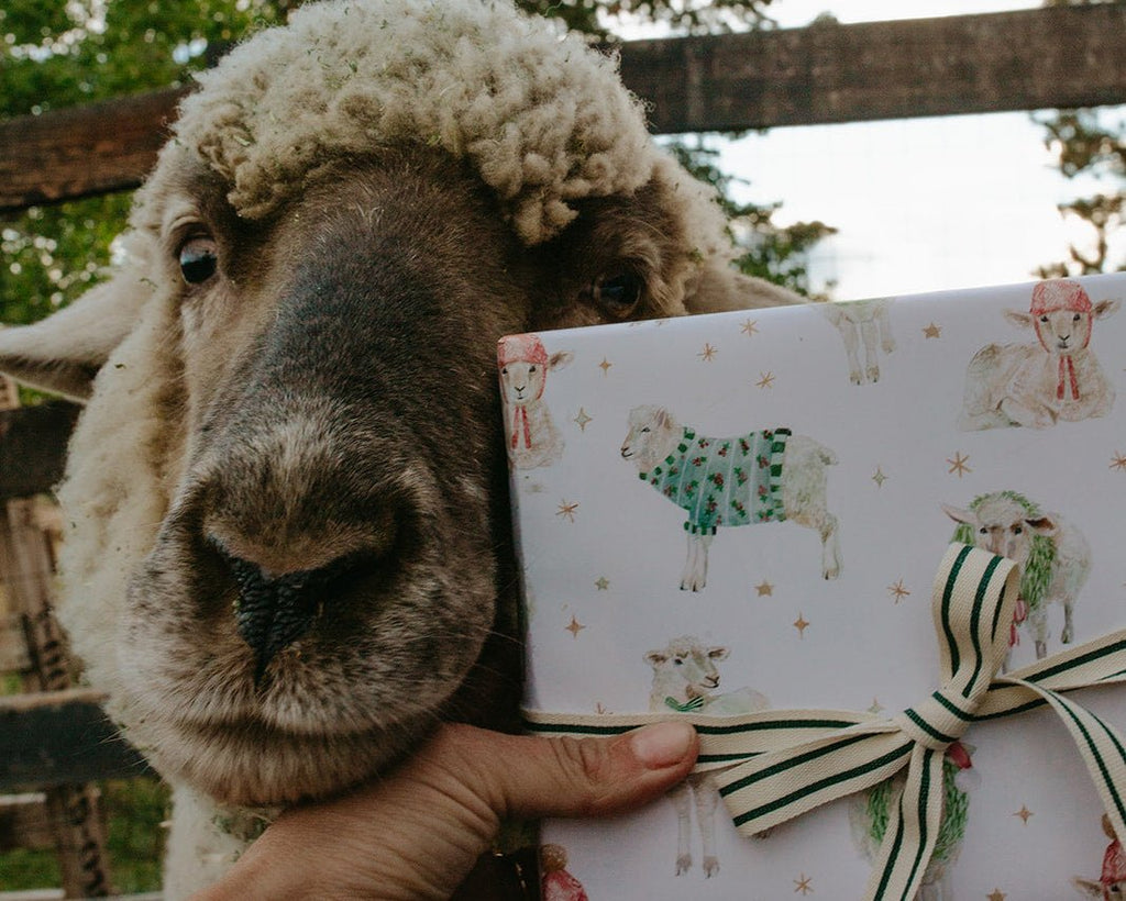 Holiday Sheep Gift Wrap