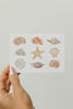 Sea Shell Greeting Card