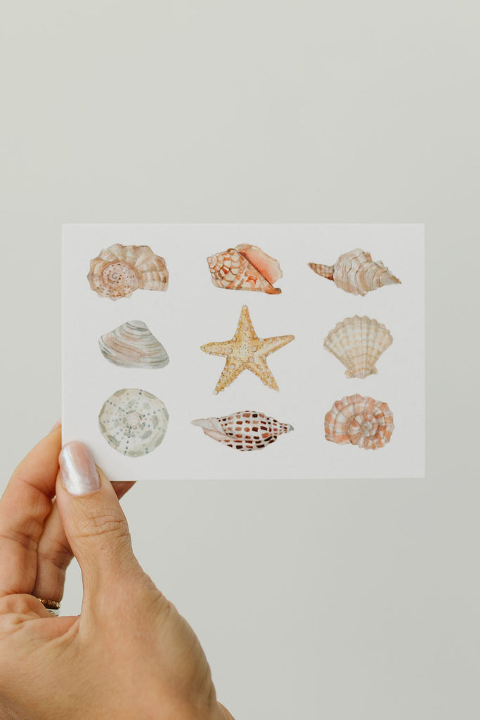 Sea Shell Greeting Card