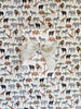 On Safari Gift Wrap