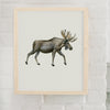 Rustic Moose Art Print