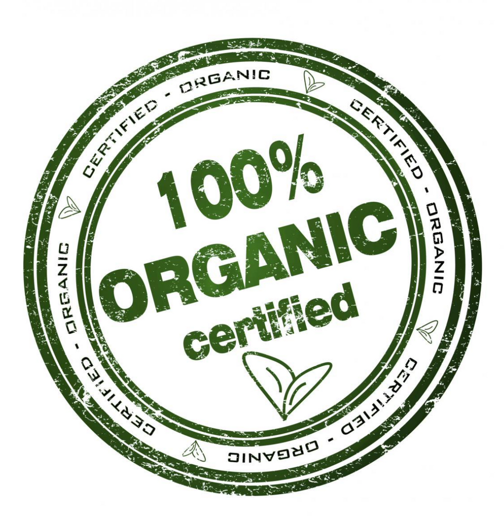 I'll have the breast, please Thanksgiving Turkey organic baby onesie