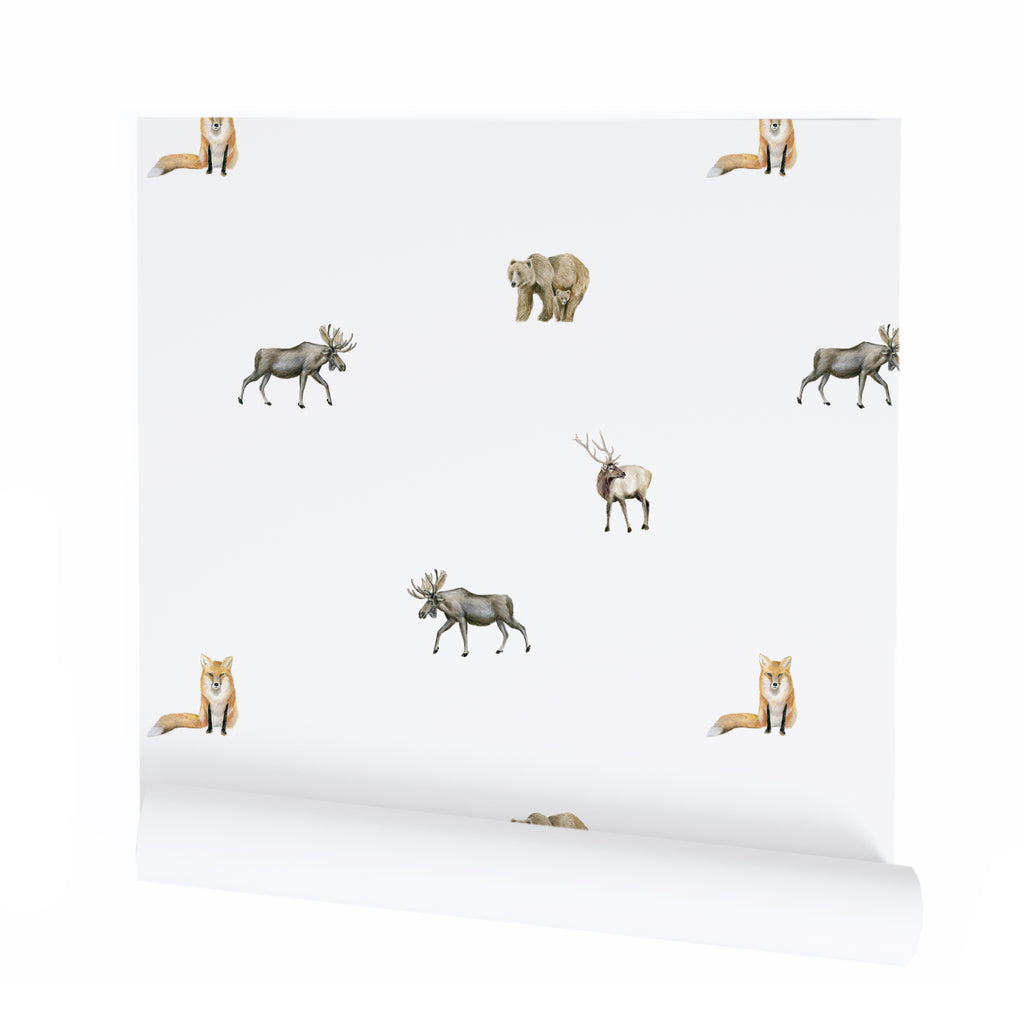 Mountain Animal Wallpaper