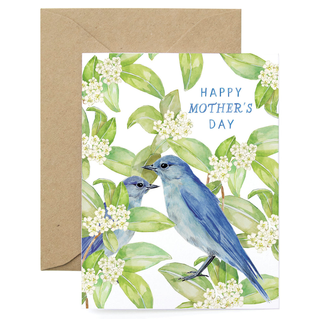 Bluebirds Mom