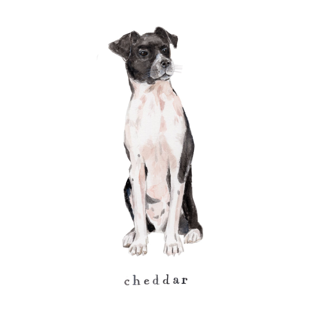 Pet Portrait Custom Painting