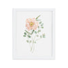 Pink Peony Art Print