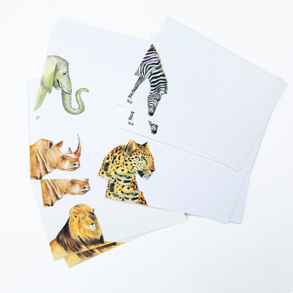 Safari Variety Note Cards