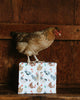 Christmas Chickens in Santa Hats Gift Wrap