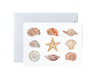 Sea Shell Greeting Card