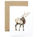 “NOT AS PERFECT AS WE’D LIKE” Deer Thanks Card