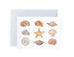 Sea Shell Greeting Card