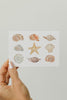 Sea Shell Greeting Card