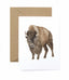Rocky the Bison Card