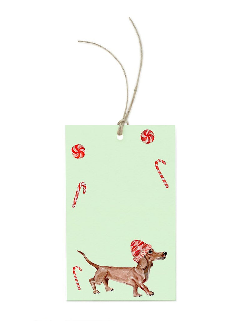 Dachshund Puppy Tag