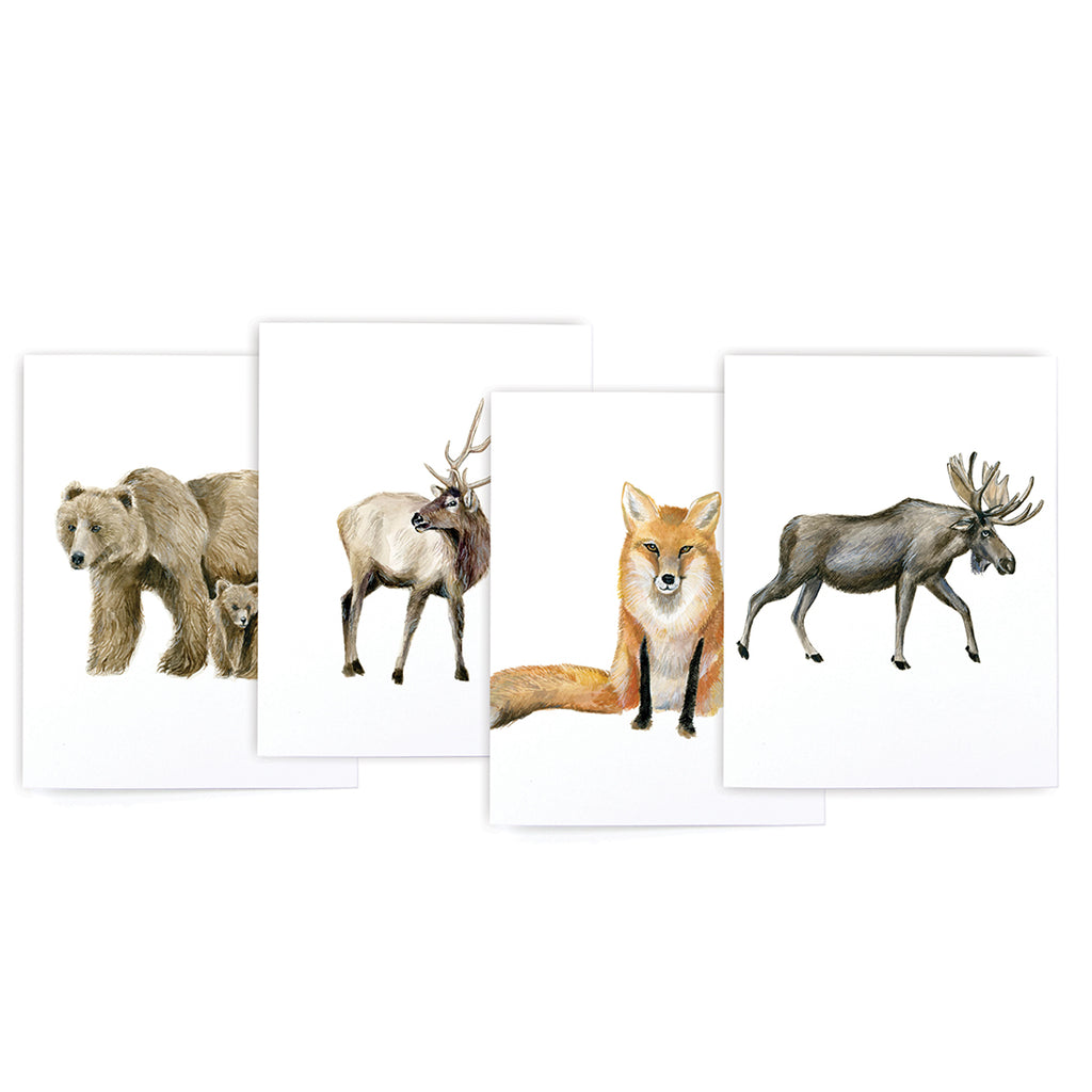 Mountain Animal Variety Card Set