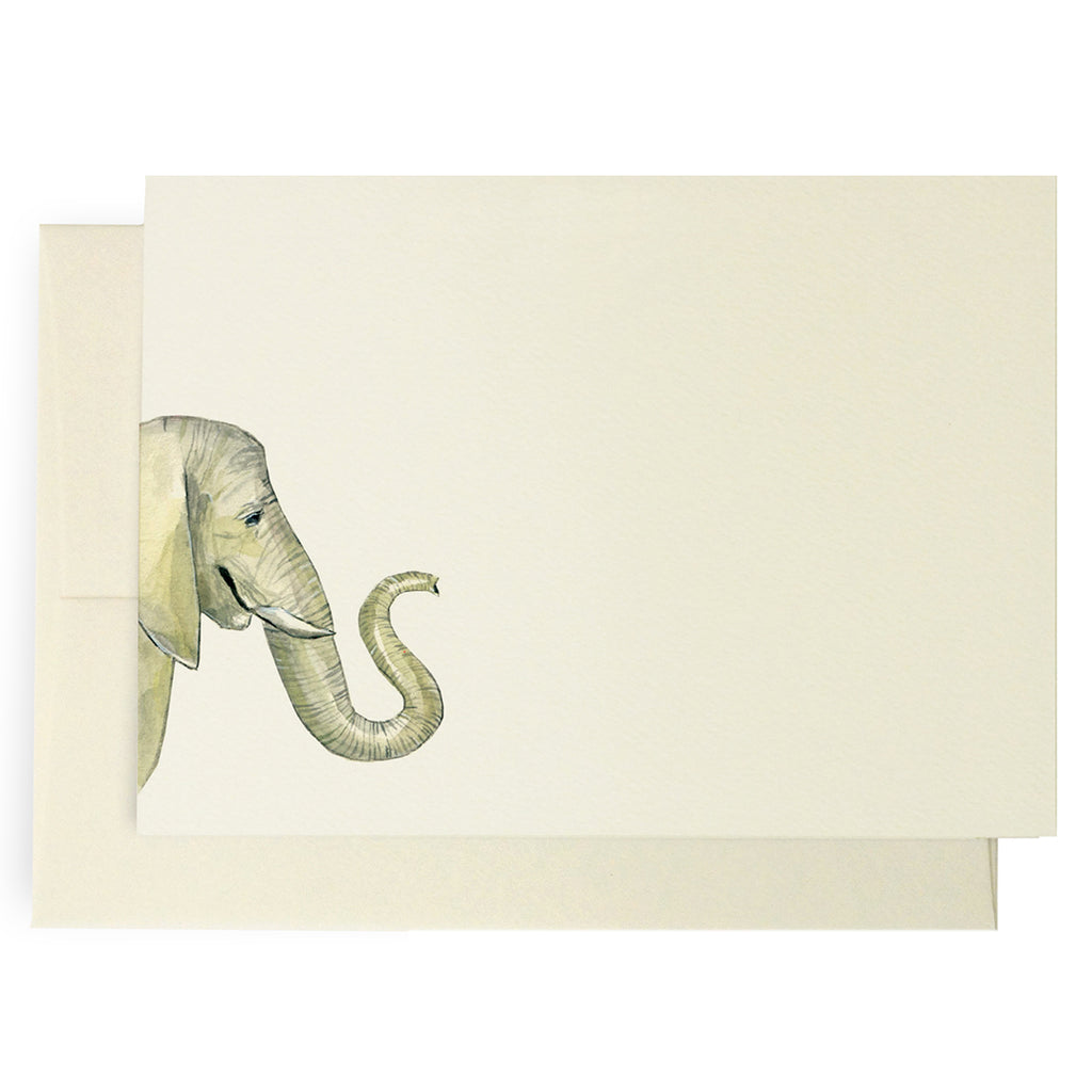 Safari Grey Elephant Note Cards