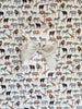 On Safari Gift Wrap