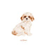 Pet Portrait Custom Painting