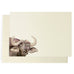Safari Buffalo Note Cards